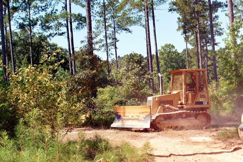 Land Clearing
